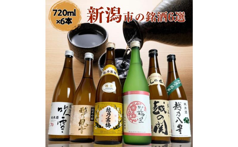 【ふるさと納税】日本酒 飲み比べセット 越後銘門酒会 新潟市の銘酒 飲み比べ 720ml×6本 （越乃寒梅 越乃梅里 越乃八豊 越の関 雪乃風雪 越路吹雪）N726A 新潟 セット 辛口 ギフト 正月 年越し サムネイル2