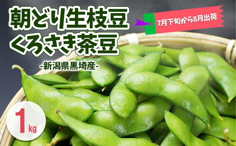 【ふるさと納税】朝どり生枝豆 くろさき茶豆1kg 新潟県黒埼産 新潟市 枝豆 えだまめ えだ豆 茶豆　お届け：2026年7月下旬～9月下旬 - 画像2