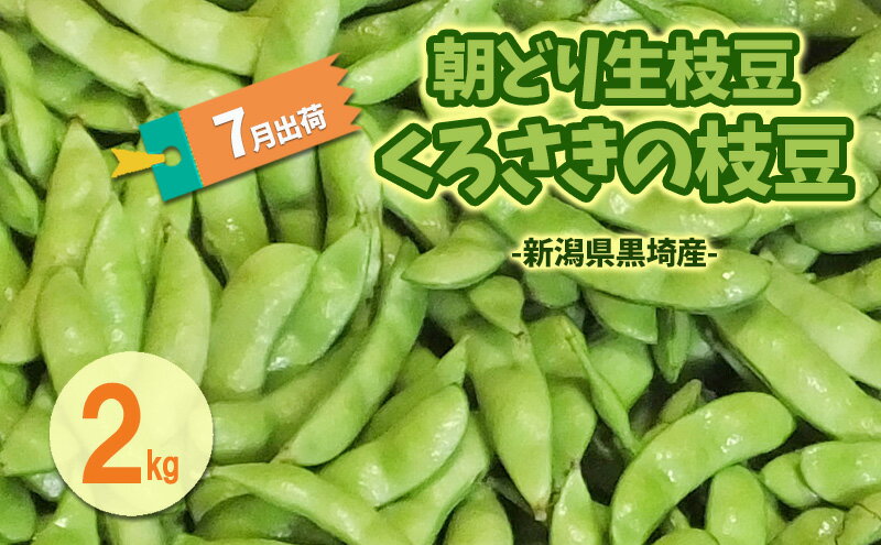 【ふるさと納税】7月出荷 朝どり生枝豆 くろさきの枝豆2kg 新潟県黒埼産 新潟市 枝豆 えだまめ えだ豆　お届け：2026年6月下旬～7月下旬 - 画像2
