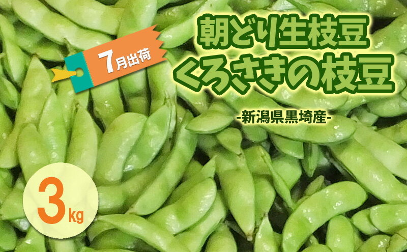 【ふるさと納税】7月出荷 朝どり生枝豆 くろさきの枝豆3kg 新潟県黒埼産 新潟市 枝豆 えだまめ えだ豆　お届け：2026年6月下旬～7月下旬 - 画像2