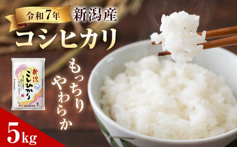 【ふるさと納税】R7年産米 新潟産コシヒカリ5kg　お届け：10月中旬以降発送予定 - 画像2