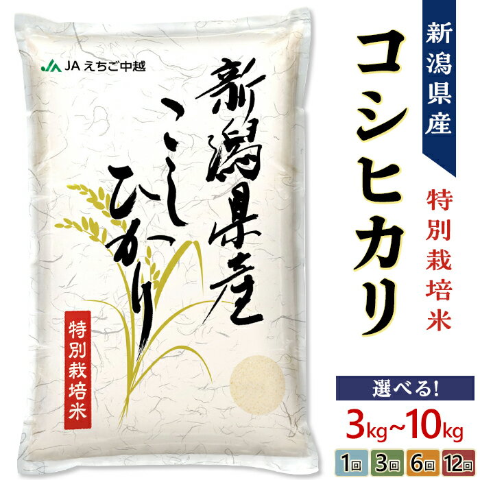 令和7年産 新米予約 米 定期便 3kg 5kg 10kg 3回 6回 12回 3ヶ月 6ヶ月 12ヶ月 新潟こしひかり コシヒカリ 特別栽培米 選べる 発送時期が選べる 上旬 中旬 下旬 精米 白米 お米 JA直送 農協（えちご中越農業協同組合）