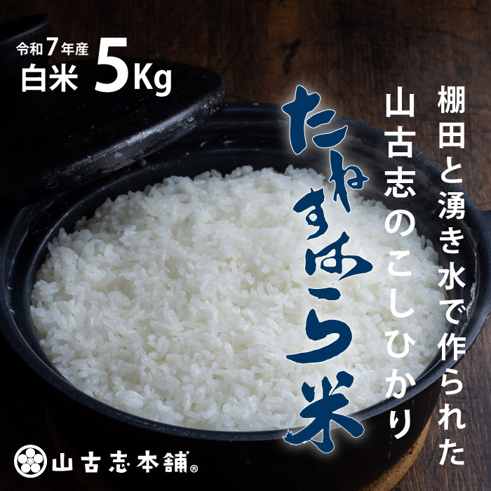 米 5kg コシヒカリ 白米 新潟 令和7年 G3-7K05旧山古志村のこしひかり「たねすはら米」白米5kg（新潟県産コシヒカリ）