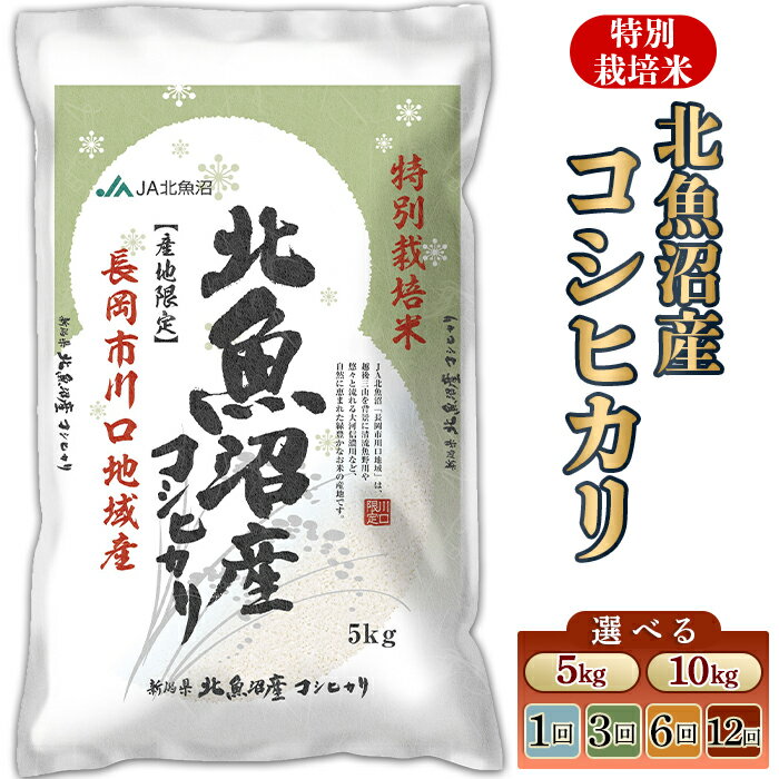 米 定期便 5kg 10kg 令和7年産 魚沼 コシヒカリ 特別栽培米 選べる回数・発送時期 1回 3回 6回 12回 3ヶ月 6ヶ月 12ヶ月 2月 3月 4月 5月 新潟こしひかり 精米 白米 お米 北魚沼産コシヒカリ特別栽培米（長岡川口地域）JA直送 （魚沼農業協同組合）