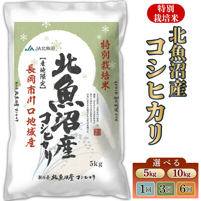 令和7年産 新米予約 新米 米 定期便 5kg 10kg 魚沼 新潟 コシヒカリ 特別栽培米 選べる回数・発送時期 1回 3回 6回 3ヶ月 6ヶ月 10月 11月 12月 新潟こしひかり 精米 白米 お米 北魚沼産コシヒカリ特別栽培米（長岡川口地域）JA直送 （魚沼農業協同組合）