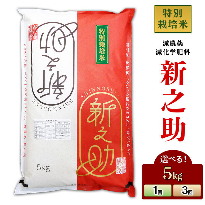 令和7年産 新米予約 新米 米 定期便 5kg 新潟 新之助 選べる回数 1回 3回 3ヶ月 精米 白米 お米 新之助5kg（株式会社コバヤシ）