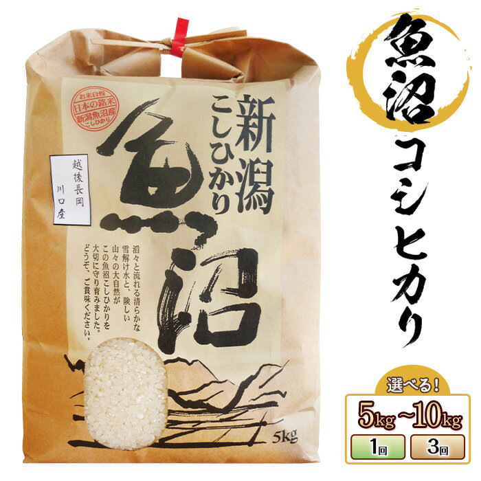 令和7年産 新米予約 新米 米 定期便 5kg 10kg 魚沼 新潟 コシヒカリ 選べる回数 1回 3回 3ヶ月 新潟こしひかり 精米 白米 お米 魚沼産コシヒカリ（長岡川口地域）（株式会社コバヤシ）