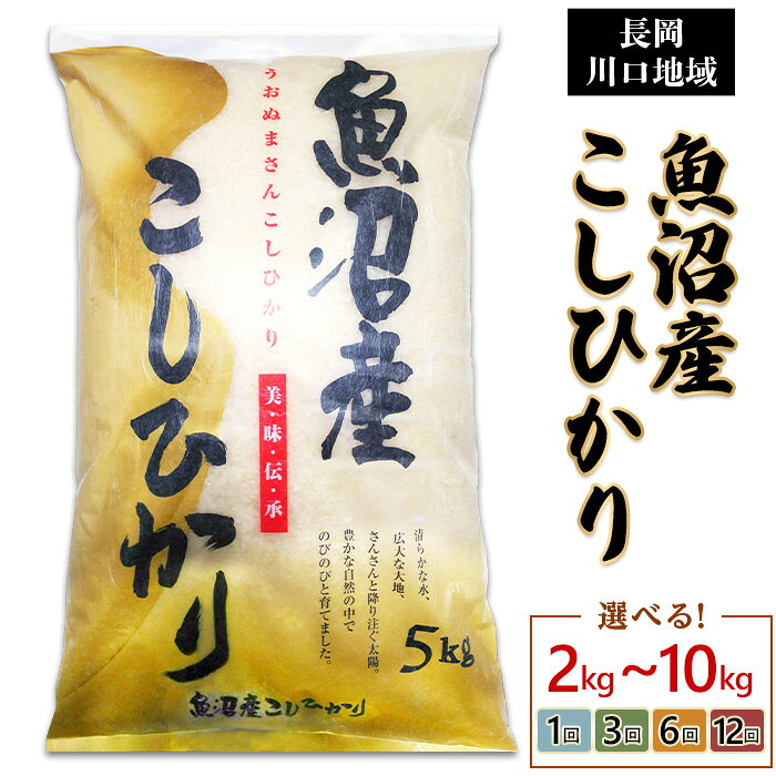 令和7年産 米 定期便 2kg 5kg 10kg（5kg×2袋）魚沼 新潟 コシヒカリ 選べる 1回 3回 6回 12回 3ヶ月 6ヶ月 12ヶ月 新潟こしひかり 精米 白米 お米 新潟県魚沼産コシヒカリ（長岡川口地域）（越後農産）