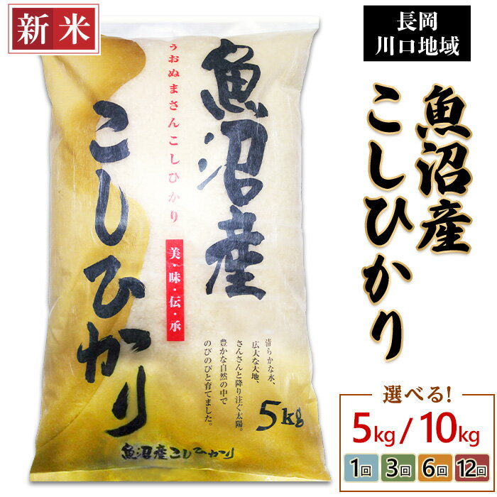 新米予約 令和7年産 米 定期便 5kg 10kg（5kg×2袋）魚沼 新潟 コシヒカリ 選べる 1回 3回 6回 12回 3ヶ月 6ヶ月 12ヶ月 新潟こしひかり 精米 白米 お米 新潟県魚沼産コシヒカリ（長岡川口地域）（越後農産）
