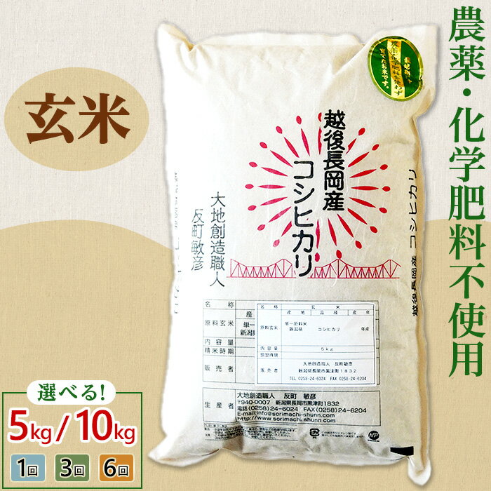 令和7年産 米 玄米 定期便 5kg 10kg 新潟 コシヒカリ 選べる回数 1回 3回 6回 3ヶ月 6ヶ月 新潟こしひかり お米 健康 腸活 美容 新潟県産コシヒカリ玄米（大地創造職人 反町敏彦）