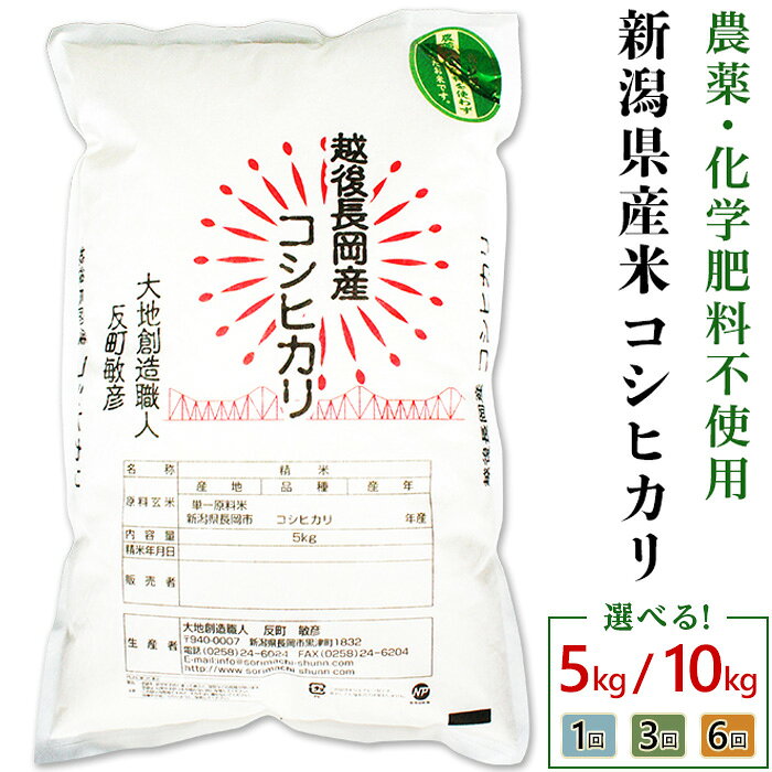 令和7年産 米 定期便 5kg 10kg 新潟 コシヒカリ 選べる回数 1回 3回 6回 3ヶ月 6ヶ月 新潟こしひかり 精米 白米 お米 新潟県産コシヒカリ（大地創造職人 反町敏彦）