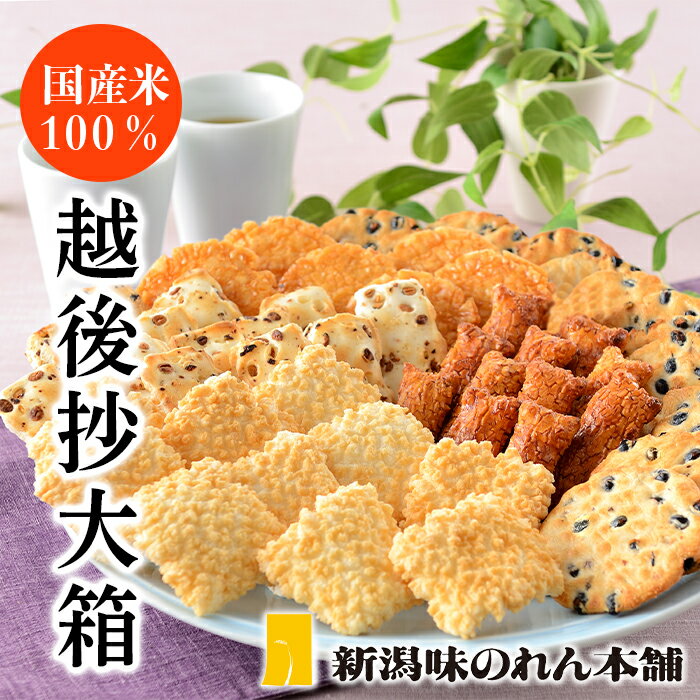 米菓 あられ おかき 食べ比べ 新潟 F3-05A越後抄大箱【新潟味のれん本舗】