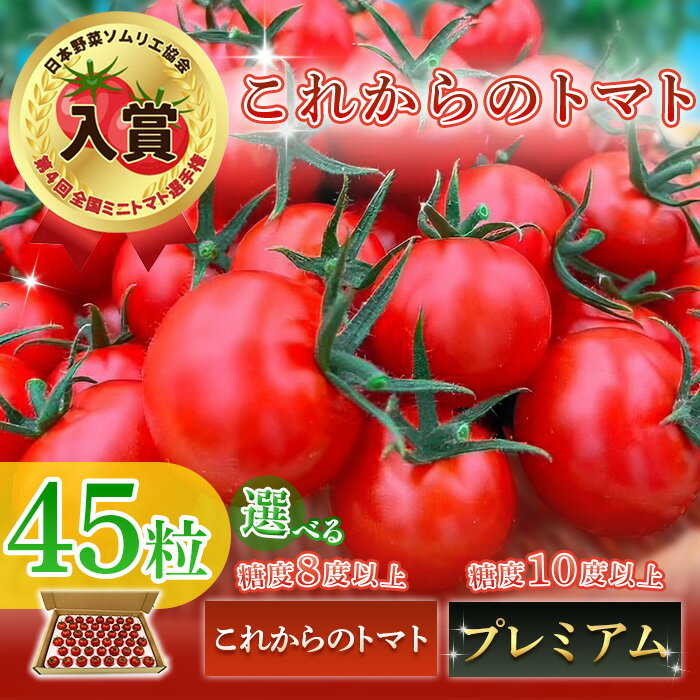 トマト 高糖度 高栄養価 フルーツトマト 選べる 糖度10度以上 糖度8度以上 これからのトマト