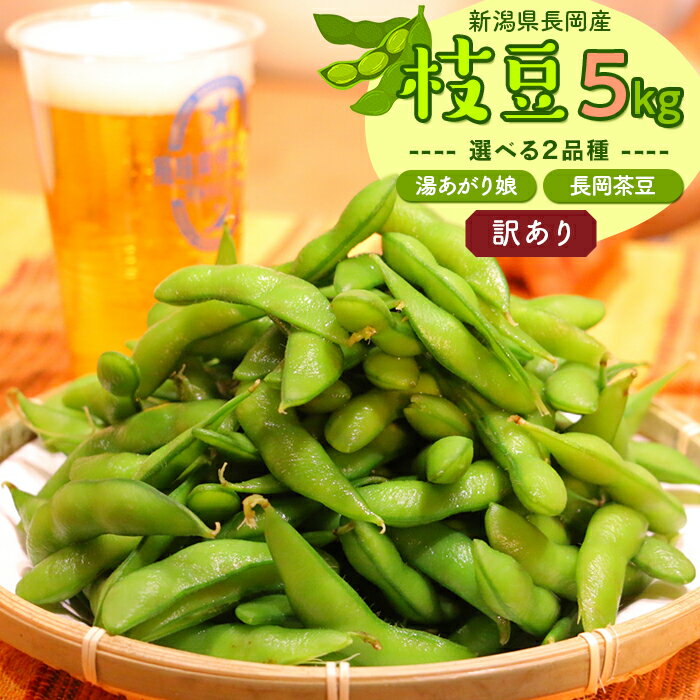 枝豆 えだまめ 5kg 訳あり 傷 規格外 不揃い 品種が選べる 湯あがり娘 長岡茶豆 新潟 冷蔵配送 【訳あり】長岡産季節の枝豆5kg（えちご中越農業協同組合）