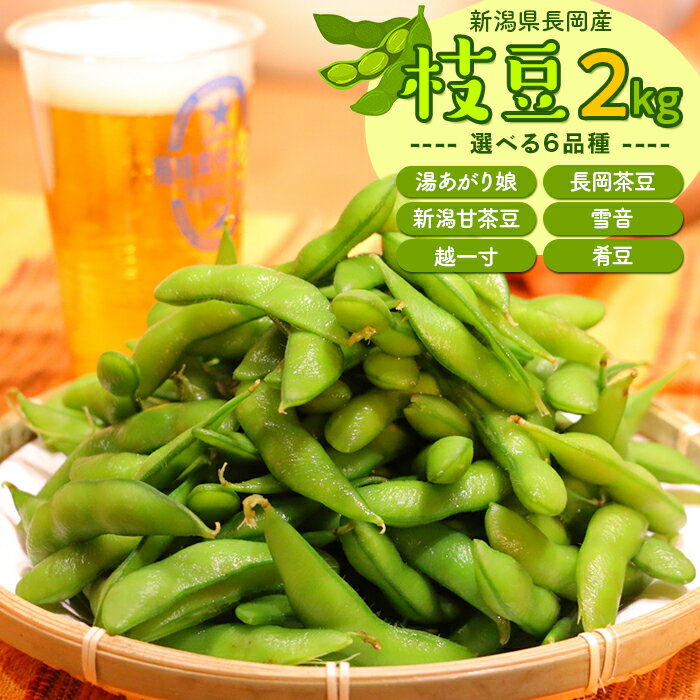 枝豆 えだまめ 2kg 小分け 250g×8袋入り 品種が選べる 湯あがり娘 長岡茶豆 新潟甘茶豆 雪音 越一寸 肴豆 新潟 冷蔵配送 長岡産季節の枝豆2kg（250g×8袋入り）（えちご中越農業協同組合）