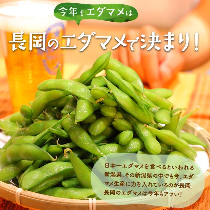 【ふるさと納税】枝豆 えだまめ 2kg 小分け 250g×8袋入り 品種が選べる 湯あがり娘 長岡茶豆 新潟甘茶豆 雪音 越一寸 肴豆 新潟 冷蔵配送 長岡産季節の枝豆2kg（250g×8袋入り）（えちご中越農業協同組合） - 画像2