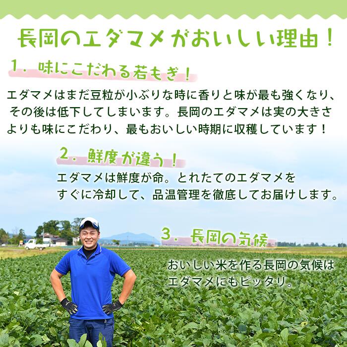 【ふるさと納税】枝豆 えだまめ 2kg 小分け 250g×8袋入り 品種が選べる 湯あがり娘 長岡茶豆 新潟甘茶豆 雪音 越一寸 肴豆 新潟 冷蔵配送 長岡産季節の枝豆2kg（250g×8袋入り）（えちご中越農業協同組合） - 画像3