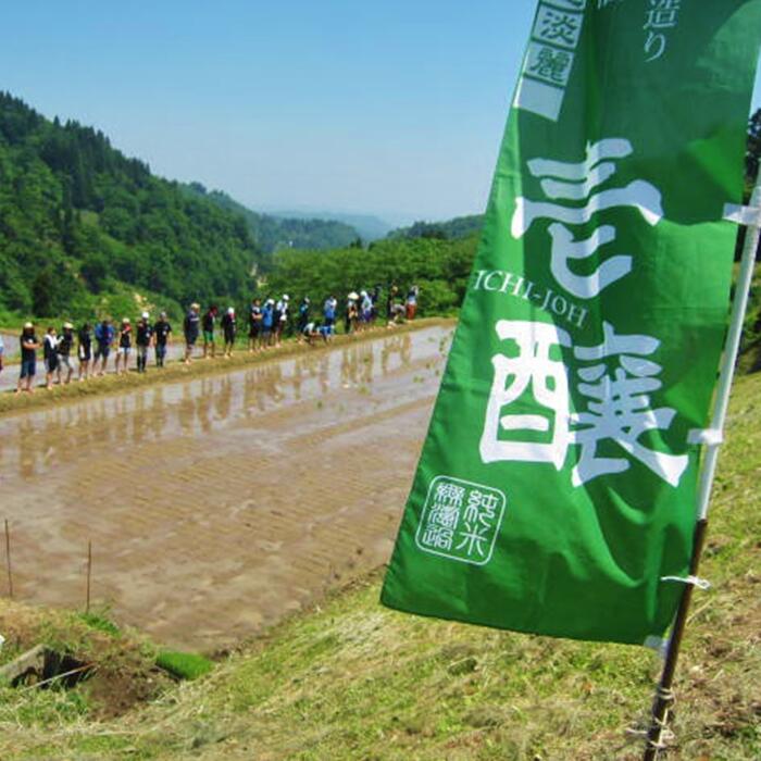 【ふるさと納税】H4-15A壱醸　粕取り焼酎三年貯蔵 42度 サムネイル3