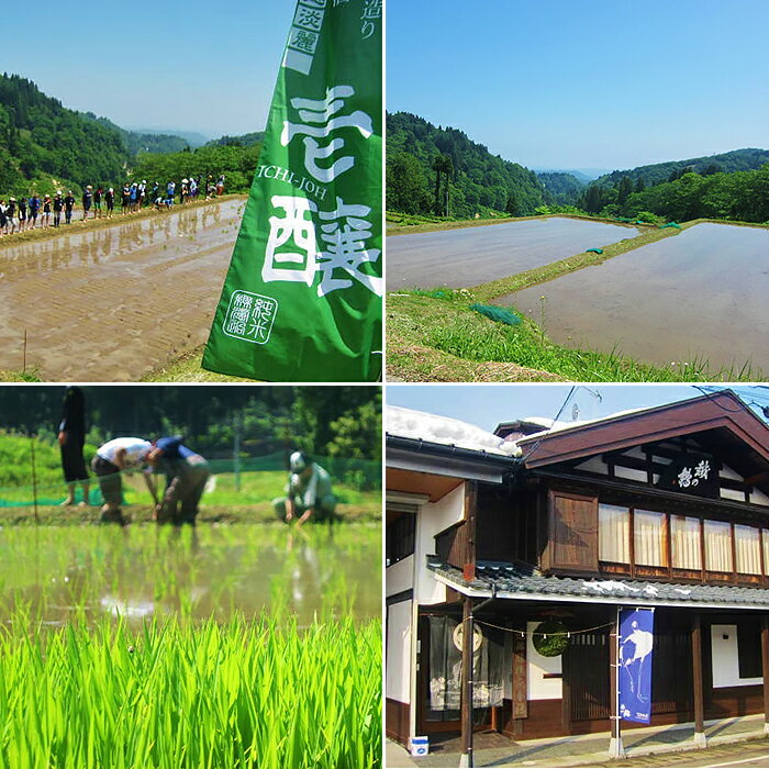 【ふるさと納税】 新潟 日本酒 H4-01壱醸 無濾過純米酒 720ml（長岡市旧栃尾地区棚田産越淡麗100%）【越銘醸】 サムネイル2