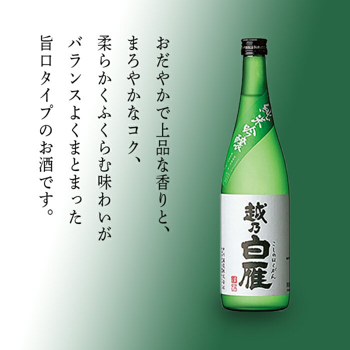 【ふるさと納税】 新潟 日本酒 95-A5A越乃白雁 純米吟醸 サムネイル2