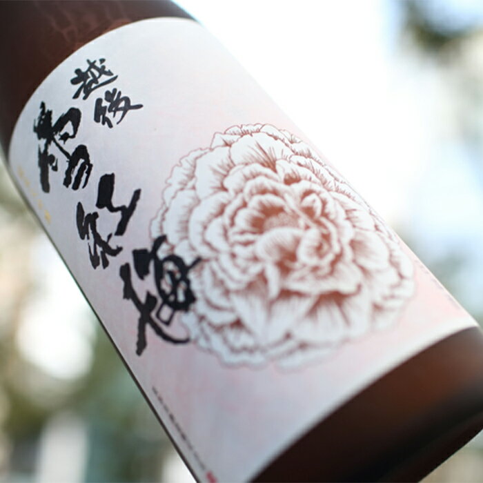 【ふるさと納税】 新潟 日本酒 C0-02A越後雪紅梅　純米大吟醸 サムネイル2