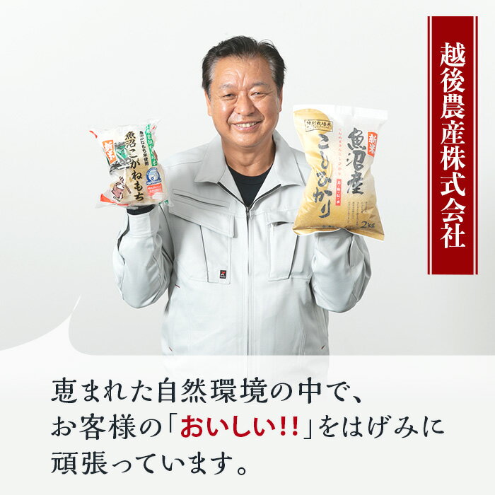 【ふるさと納税】餅 もち 切もち 切り餅 個別包装 新潟 C2-R01A新潟県魚沼産こがねもち（長岡川口地域）2.4kg（600g×4袋） - 画像3