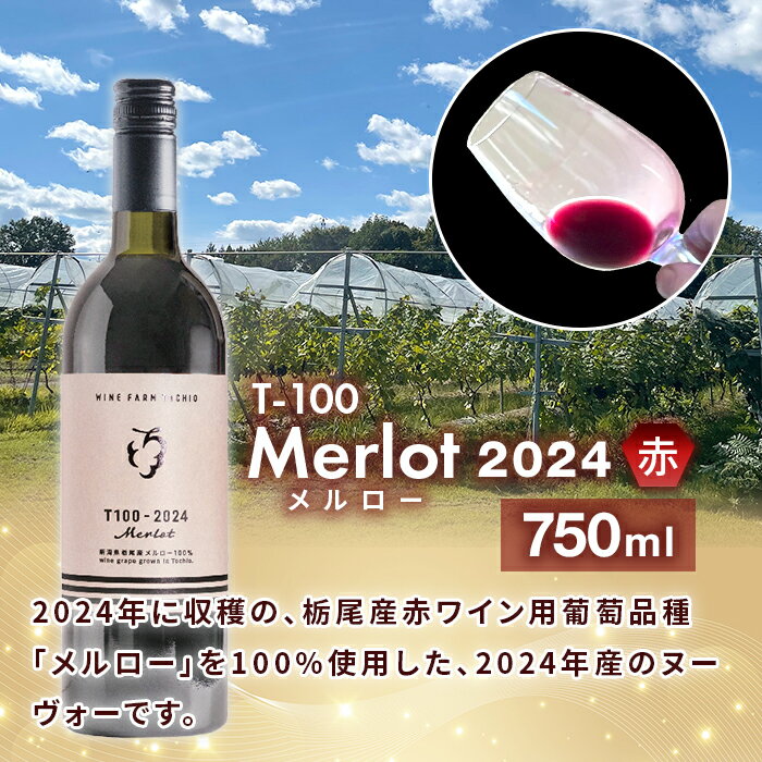 【ふるさと納税】24-07B T100 ワイン750ml×2本セット【ワインファームとちお】 サムネイル2