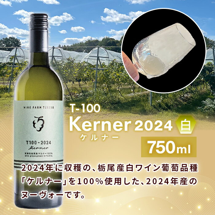 【ふるさと納税】24-07B T100 ワイン750ml×2本セット【ワインファームとちお】 サムネイル3