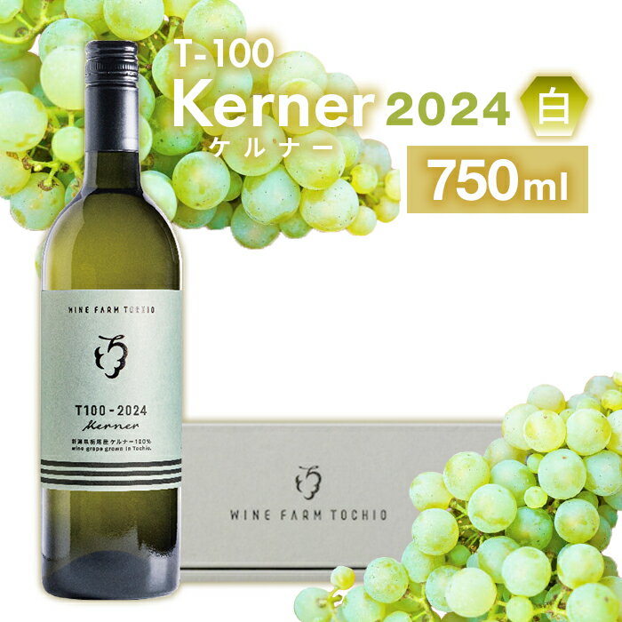 24-06B T100 Kerner〈白〉2024 750ml【ワインファームとちお】