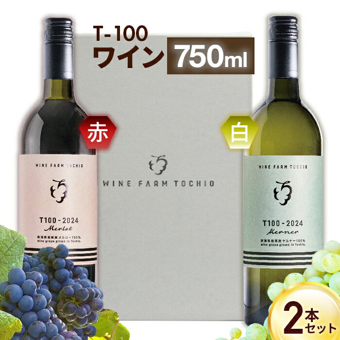 24-07B T100 ワイン750ml×2本セット【ワインファームとちお】