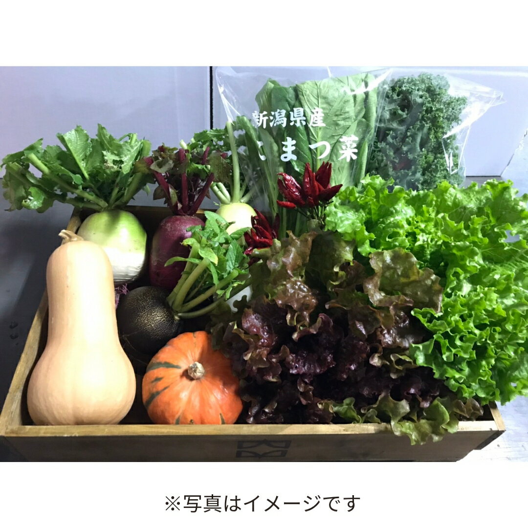 【ふるさと納税】旬の野菜セット(7〜8品) 季節の野菜 詰合せ [内山農園] 【011S166】 - 画像2