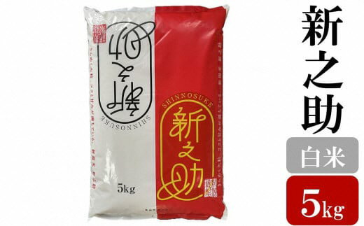 令和7年産米【五ツ星お米マイスター厳選】新之助 白米 5kg[Y0564]【新潟県 柏崎市 】