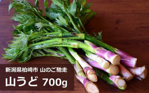 【期間・数量限定】山うど 700g 山菜 山のごちそう[Y0614]【 新潟県 柏崎市 】