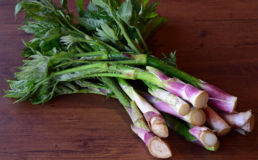 【ふるさと納税】【期間・数量限定】山うど 700g 山菜 山のごちそう[Y0614]【 新潟県 柏崎市 】 - 画像3