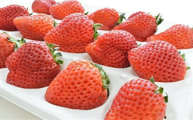 【ふるさと納税】【先行予約・数量限定】越後姫 24～30粒 甘くてジューシー！新潟ブランドいちご ファームくじらなみより直送[ZB360]【 新潟県 柏崎市 】 サムネイル2