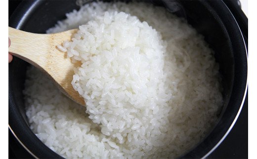 【ふるさと納税】【令和7年産米】コシヒカリ 白米 4kg（2kg×2袋） ヤタらうんめぇ お米 新潟県産 小分け 水田環境鑑定士在籍[Y0198]【新潟県 柏崎市 】 - 画像3