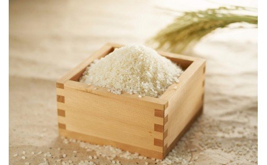 【ふるさと納税】【令和7年産米】じょんのびの里コシヒカリ 白米 5kg 棚田米[Y0465]【新潟県 柏崎市 】 - 画像2