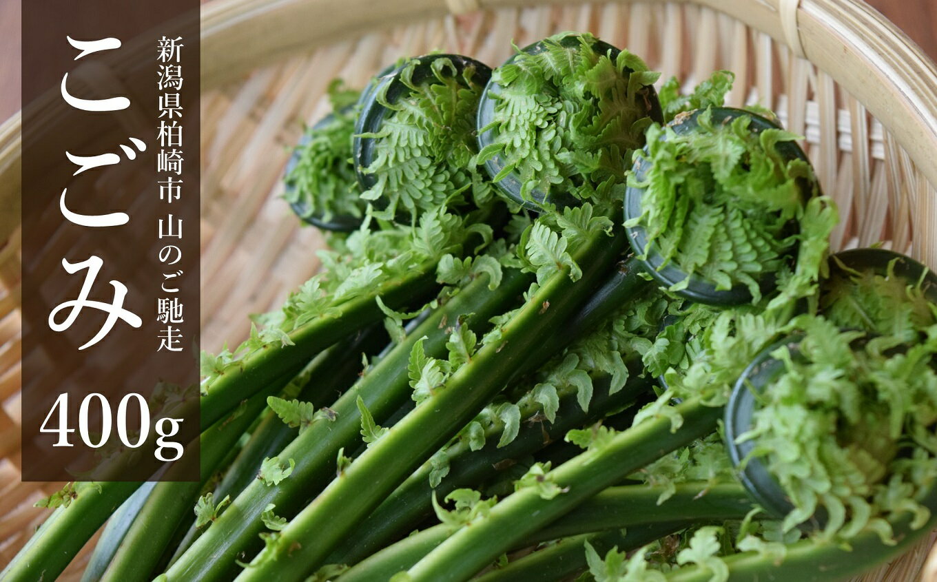 【期間・数量限定】こごみ 400g 山菜 山のごちそう[ZA064]【 新潟県 柏崎市 】