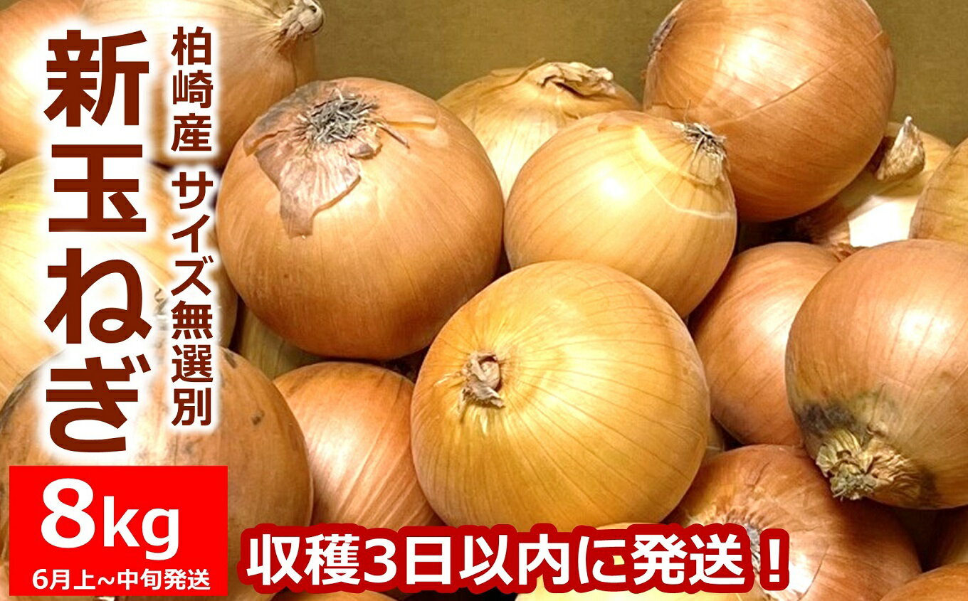 【先行予約・令和8年6月発送予定】おいしいね 新玉ねぎ サイズ無選別 8kg[ZA130]【 新潟県 柏崎市 】