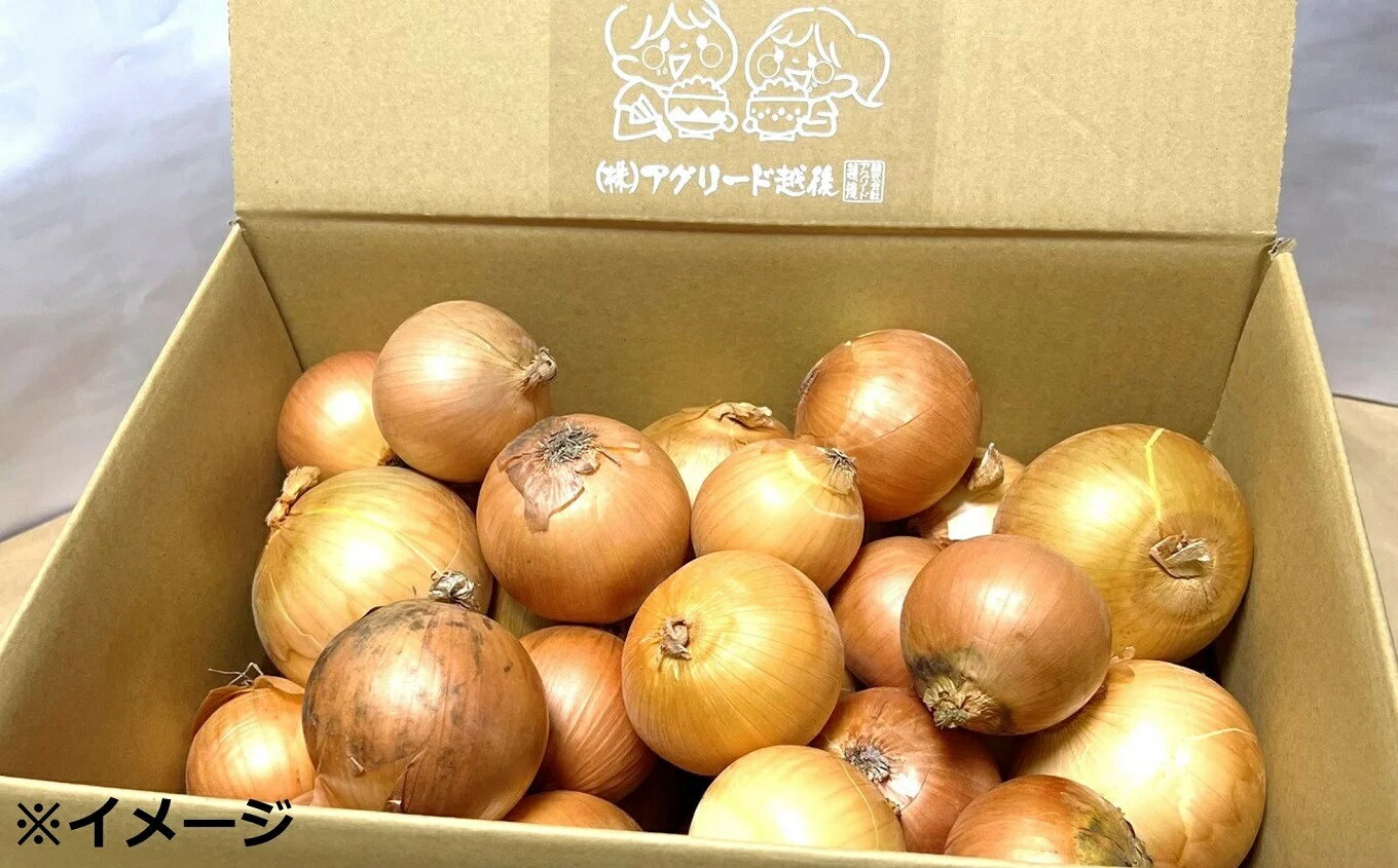 【ふるさと納税】【先行予約・令和8年6月発送予定】おいしいね 新玉ねぎ サイズ無選別 8kg[ZA130]【 新潟県 柏崎市 】 - 画像2