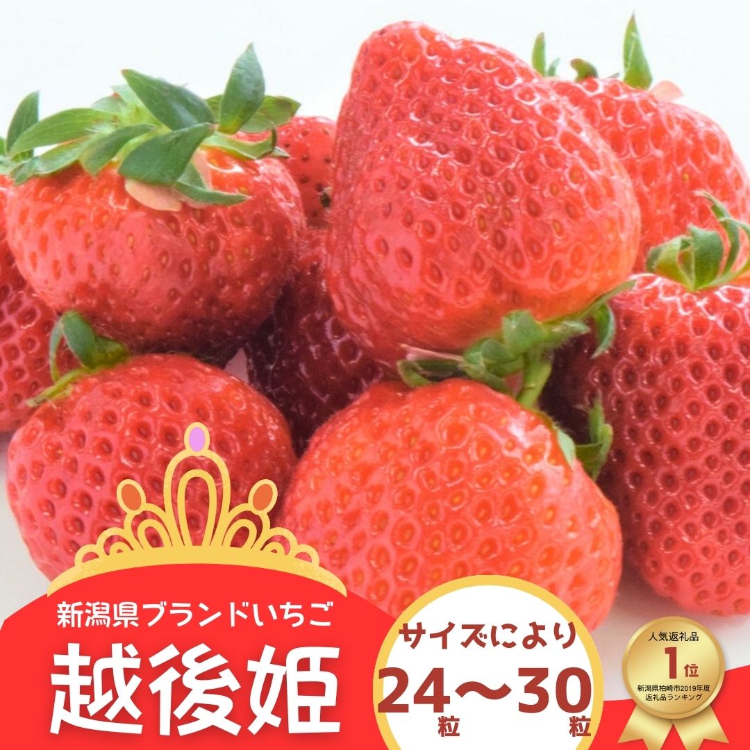 【先行予約・数量限定】越後姫 24～30粒 甘くてジューシー！新潟ブランドいちご ファームくじらなみより直送[ZB360]【 新潟県 柏崎市 】