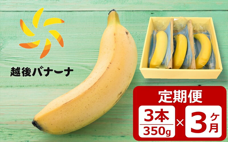 【定期便・雪国新潟産バナナ】3本（350g）×3回 濃厚な甘さともっちり食感！安心安全の越後バナーナ【 新潟県 柏崎市 】