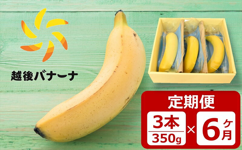 【定期便・雪国新潟産バナナ】【定期便・雪国新潟産バナナ】3本（350g）×6回 濃厚な甘さともっちり食感！安心安全の越後バナーナ【 新潟県 柏崎市 】