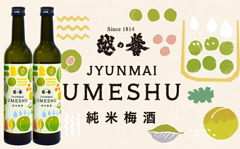 本格日本酒仕込み 純米梅酒 500ml×2本 越の誉【 新潟県 柏崎市 】