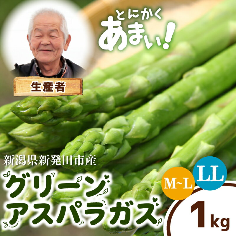 アスパラガス 選べる 太さ 1kg LL or M~L アスパラ 甘い 太い 柔らかい 新潟 新発田 朝採り 新鮮 野菜 グリーンアスパラガス グリーンタワー 春野菜 特産品 旬 肉 巻き 朝採れ 産地直送 農家 菅谷 新潟県 新発田市 蔵光グリーンファーム kuramitsu003P