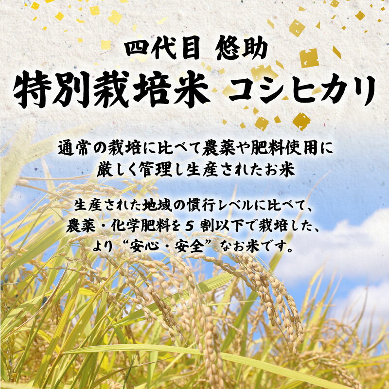 【ふるさと納税】 R7年産先行予約 新米 新潟県産コシヒカリ 選べる 配送月 容量 単品 定期便 5kg 10kg 3回 6回 特別栽培米 コシヒカリ 新潟県 新発田市 米 コシヒカリ コンテスト 入賞 四代目 悠助 新潟 新発田 D71P サムネイル2
