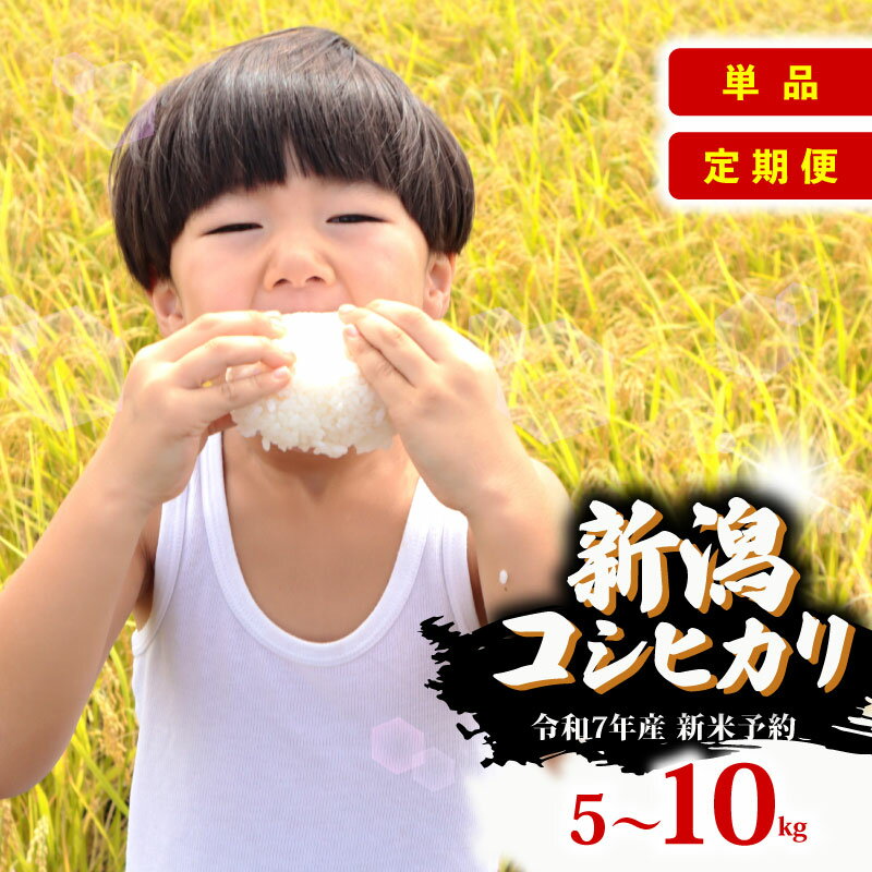 R7年産先行予約 新米 新潟県産コシヒカリ 選べる 配送月 容量 単品 定期便 5kg 10kg 3回 6回 特別栽培米 コシヒカリ 新潟県 新発田市 米 コシヒカリ コンテスト 入賞 四代目 悠助 新潟 新発田 D71P
