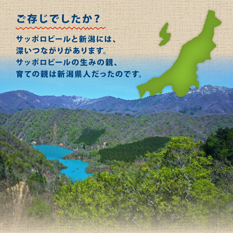 【ふるさと納税】 ビール 350ml 24本 サッポロ 限定 風味 爽快 選べる 500ml 定期便 単品 新潟 ビイル サッポロビール 取り寄せ ご当地 風味爽快ニシテ 風味爽快にして 酒 お酒 さけ sake アルコール ギフト プレゼント 贈り物 セット お土産 人気 おすすめ 新潟県 新発田市 サムネイル3
