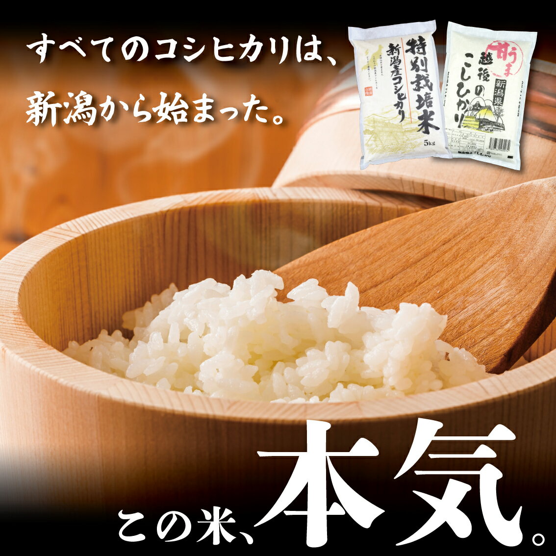 【ふるさと納税】 最短7日発送 新潟 無洗米 白米 玄米 2kg 5kg 7kg 10kg 15kg 20kg 21kg 新潟 令和7年産 選べる 単品 定期便 米 こめ 特別栽培米 甘うま越後の こしひかり 新潟県 新潟産 新潟県産 新発田 斗伸 toushin - 画像2