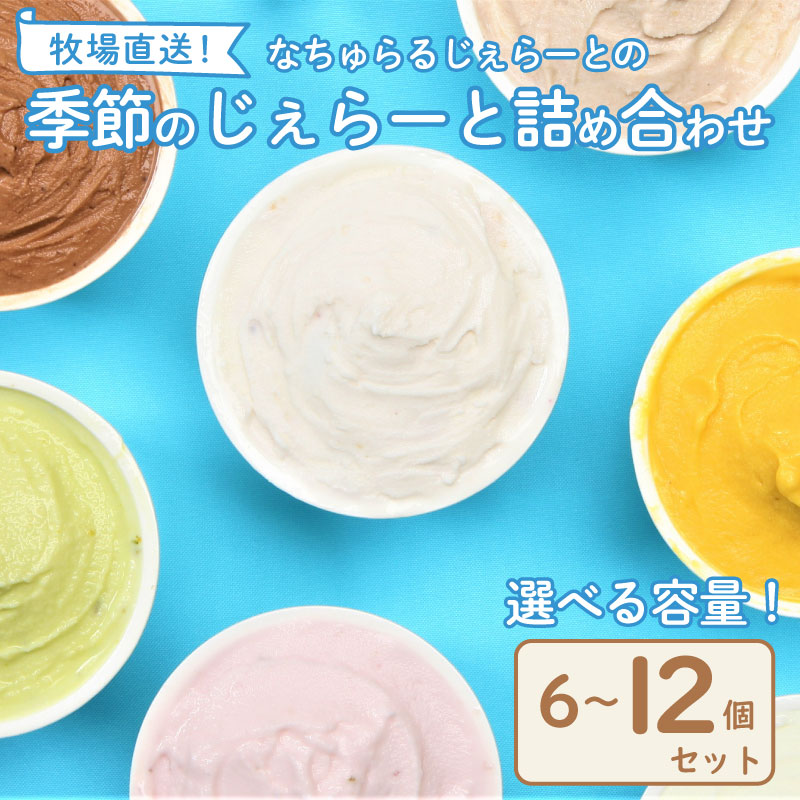 ジェラート 6〜12個セット なちゅらるジェラート 日付指定 いちご ミルク チョコ ブルーベリー チーズ お茶 緑茶 紅茶 ほうじ茶 ラム レーズン ピスタチオ 塩 キャラメル アイス ジェラート セット 季節 父の日 新潟 新発田 F02 F04_01 nakano001